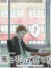 中国好声音 综艺免费观看百度